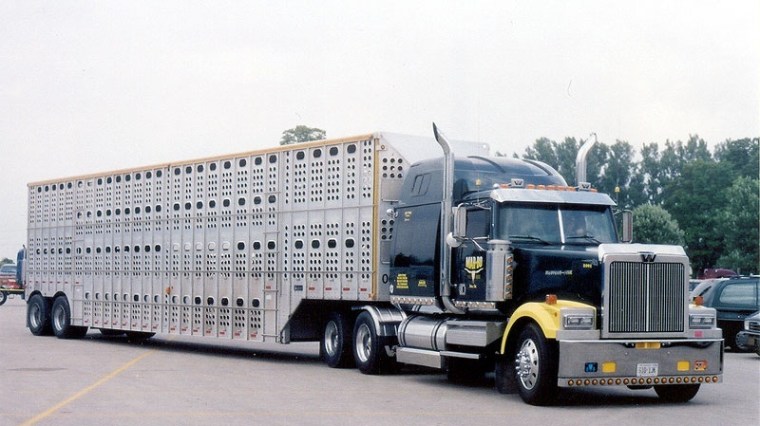 truck