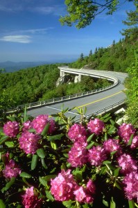 viaduct_spring