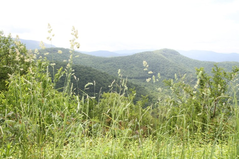2 virginia