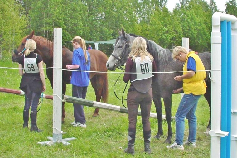 10 2004 vet gate rönninge
