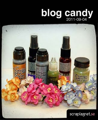 blogcandy-scraplagret