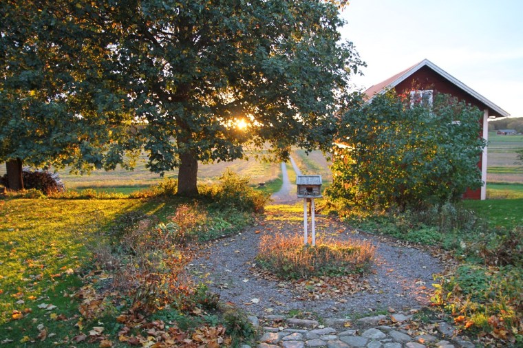 kvällsljus
