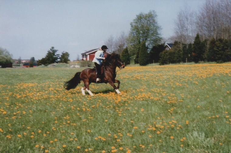 sprettur 1
