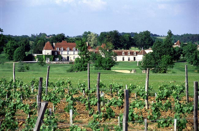 chateau des vigiers