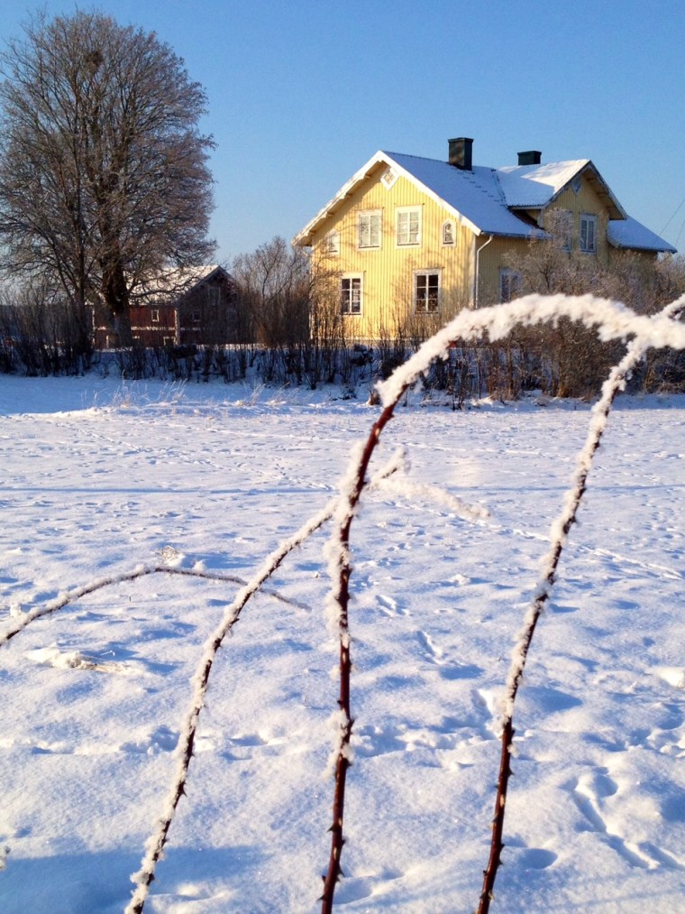 huset 1
