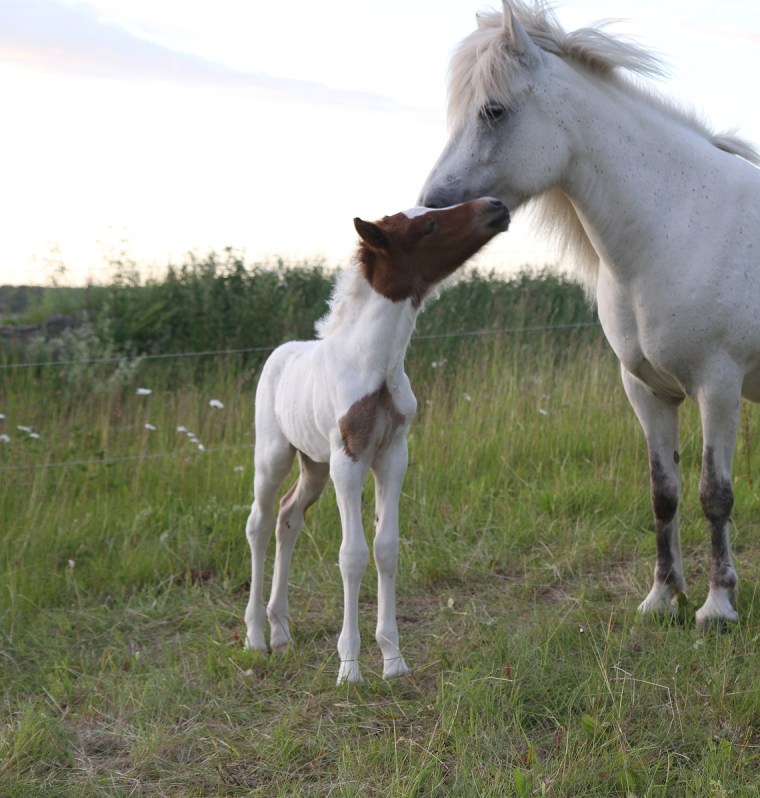 mor och dotter