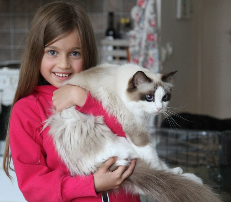 isabella och vega