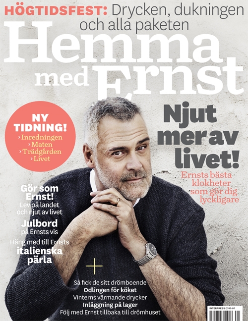 hemmamedernst-1-2012