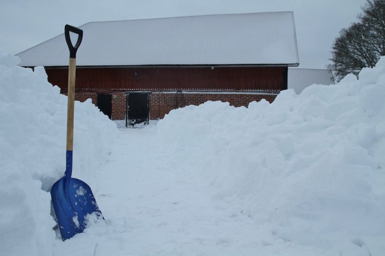 snöskottning