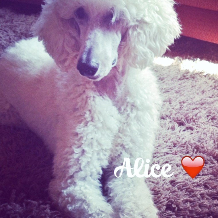 alice