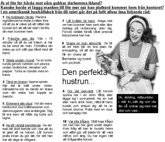 Den-perfekta-hustrun