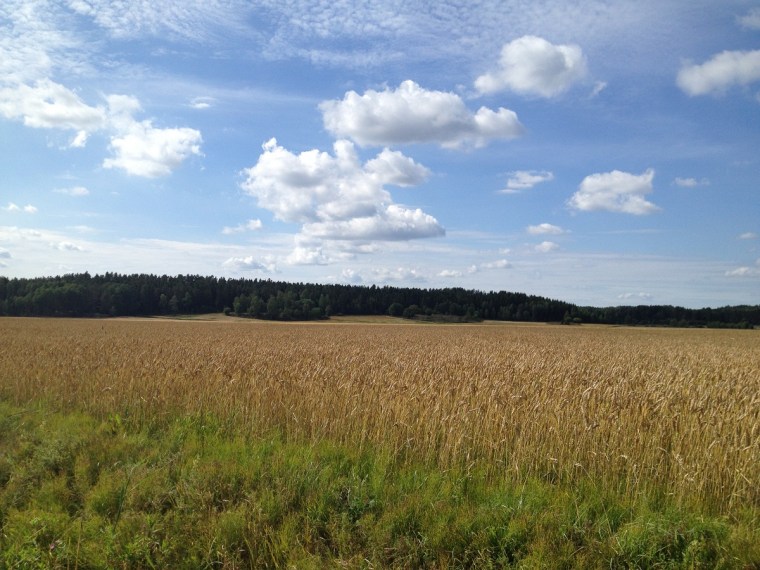 höst