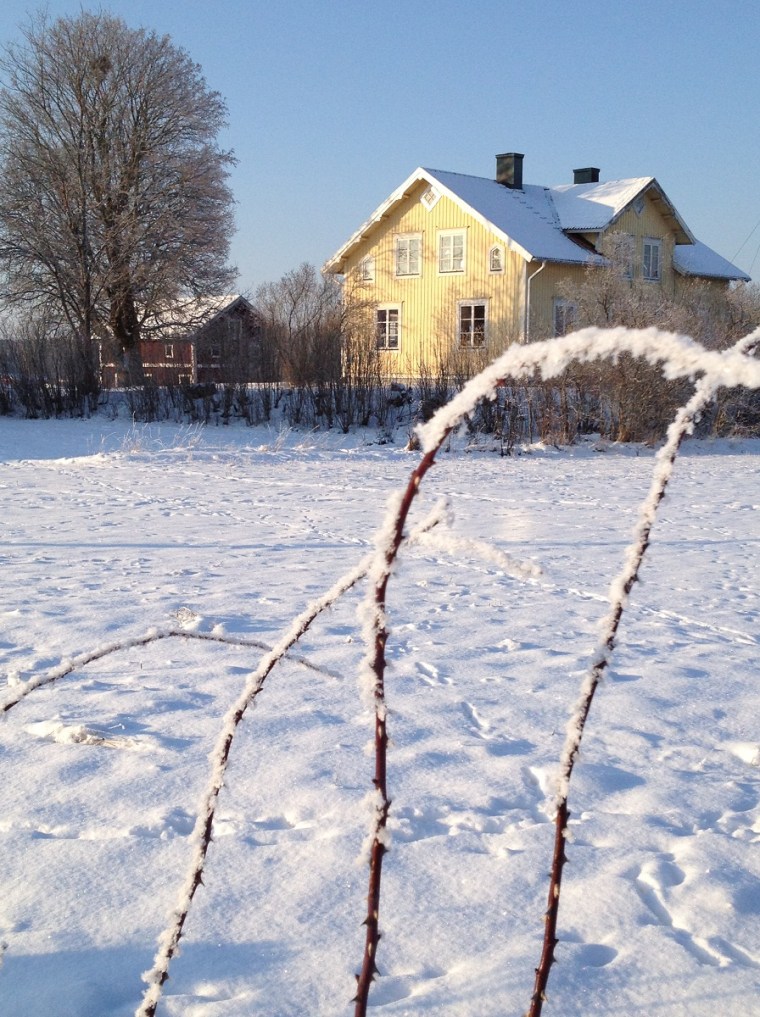 kallt