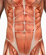 abdominals-or-rectus-abdomi_59062091