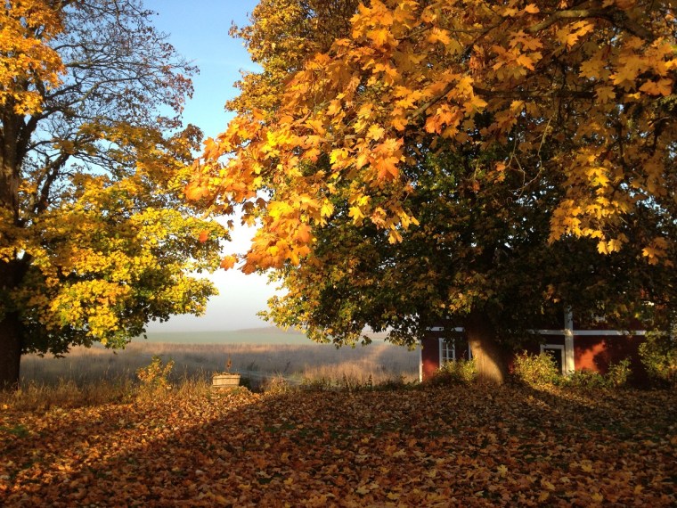 oktober 1