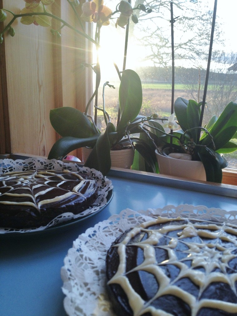spindelnät 2