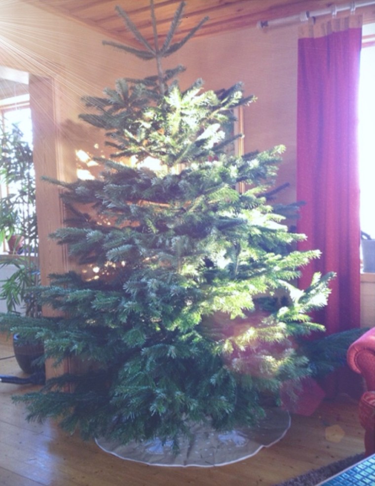 helgbild 5