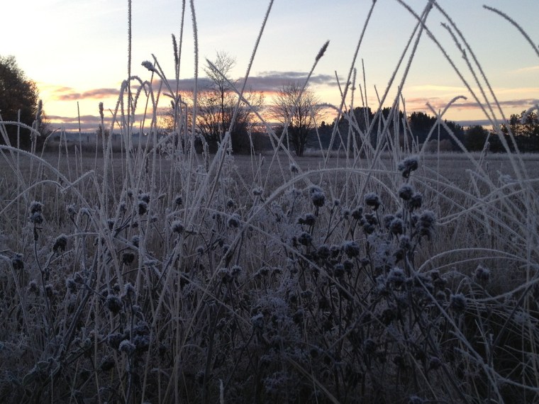 morgon 2