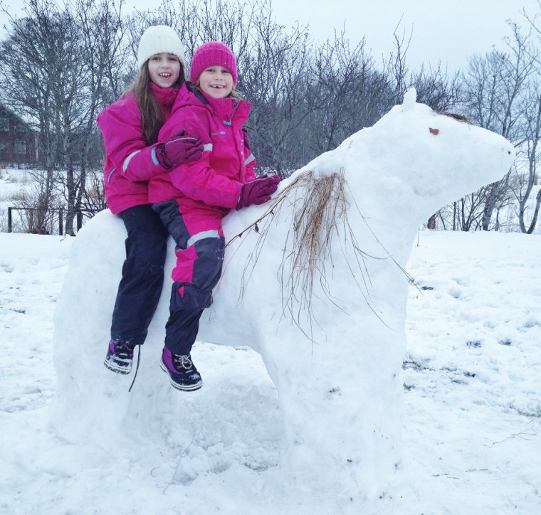 snöhäst