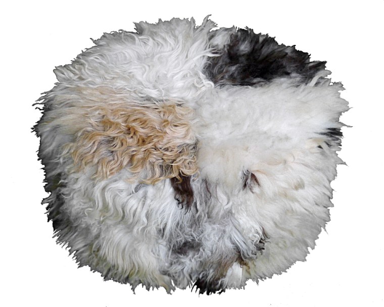 sittpuff