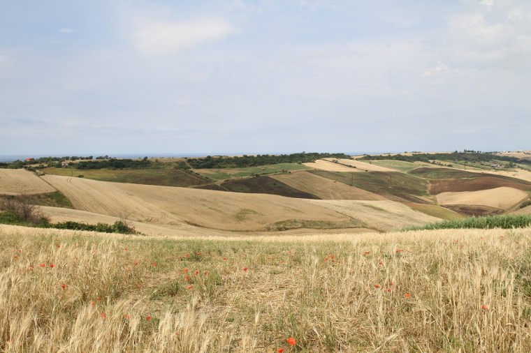 landskapet
