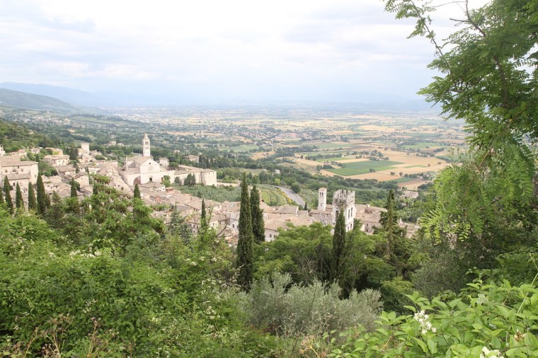 assisi 4
