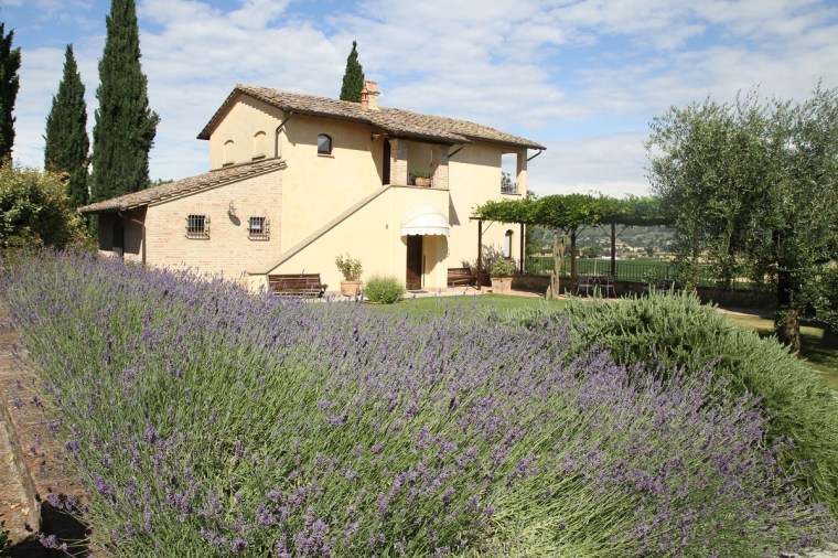 ripa relais 3
