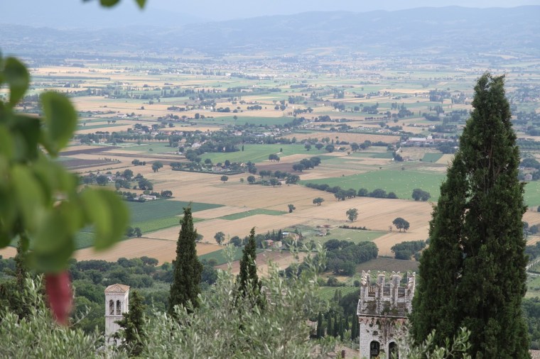 assisi