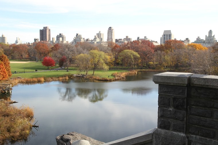 newyork