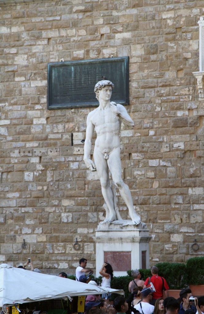 david