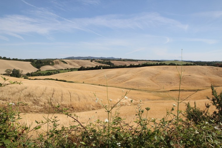 landskap