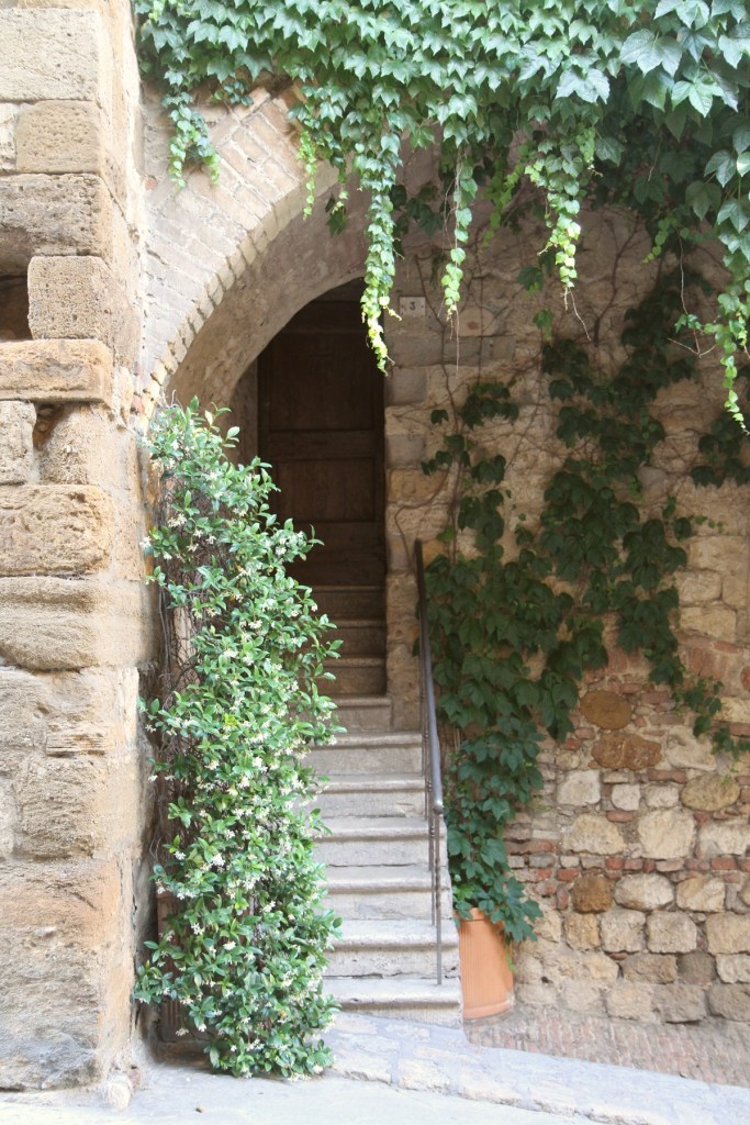 montepulciano trappa