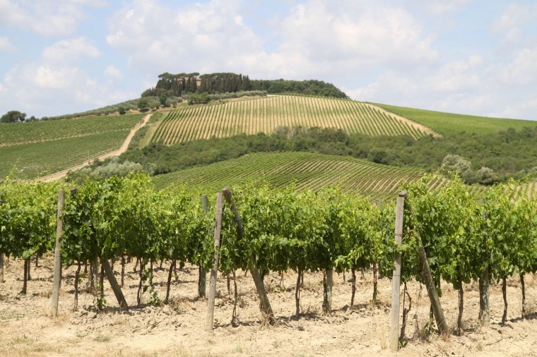 montereggioni landskap 2