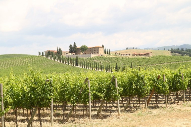 montereggioni landskap