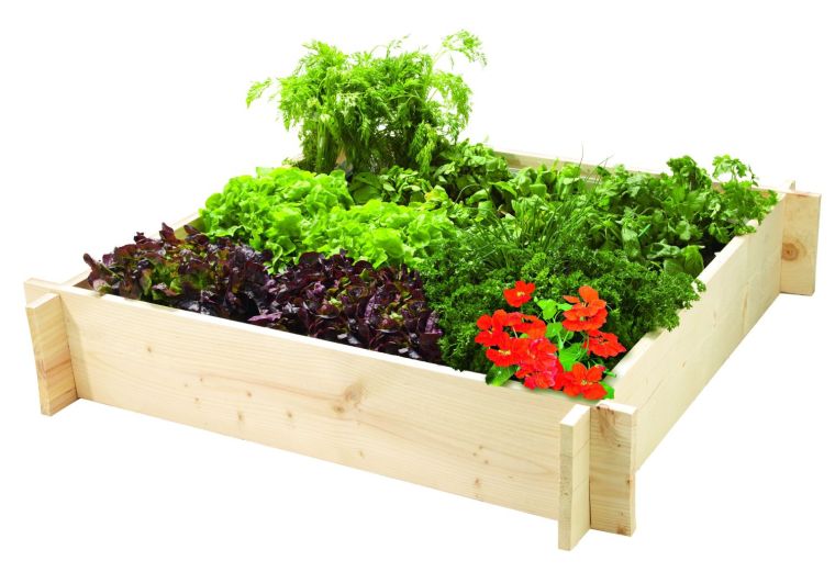 38586-mon-premier-potager-en-carre
