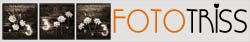 banner_2011_250x79_black sepia orange