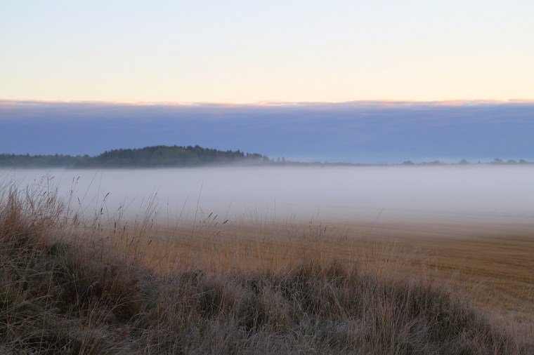 morgondimma 1