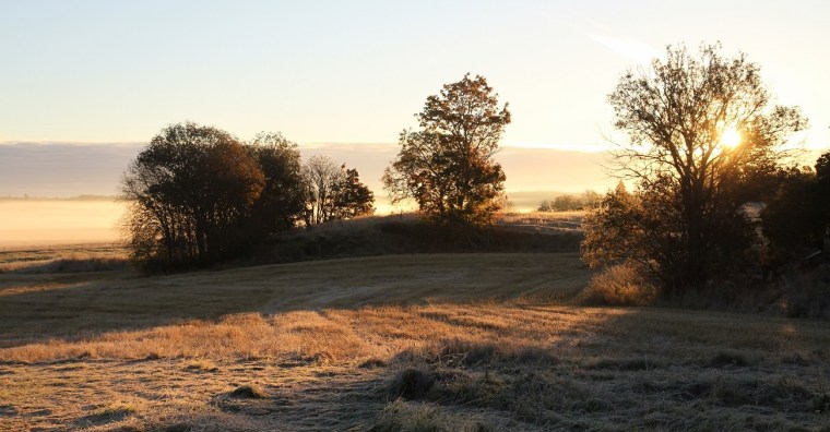 morgondimma 3