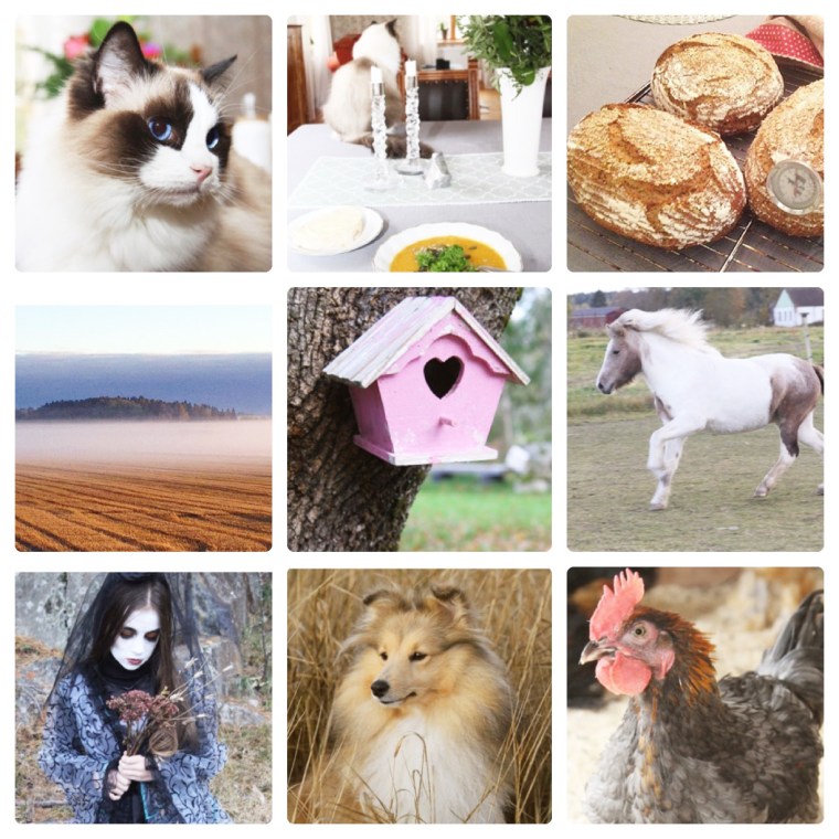 oktobercollage