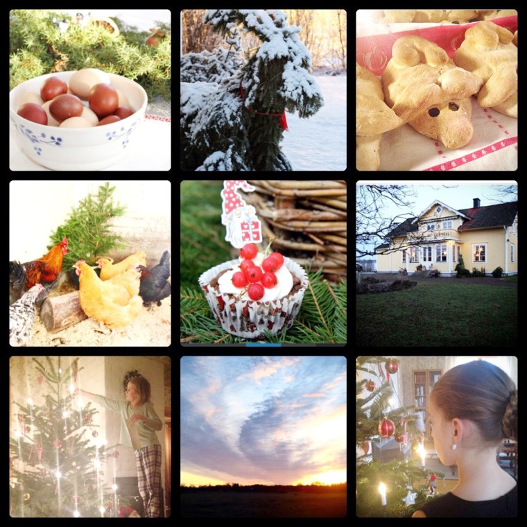 decembercollage