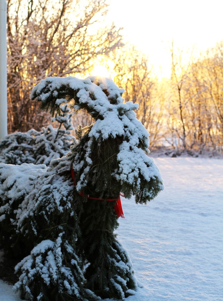 julbock snö
