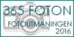 365