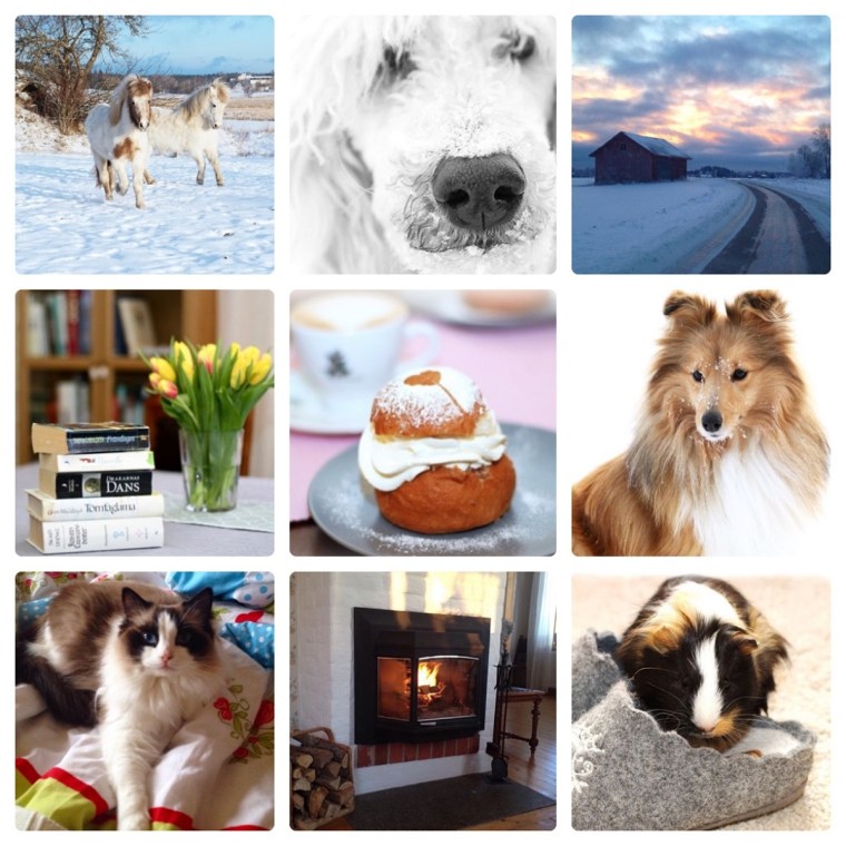 januari collage