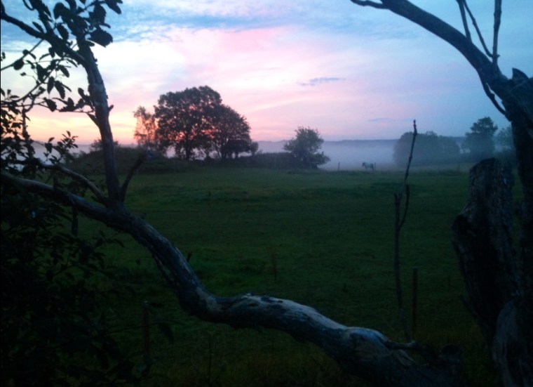 ö sommarmorgon