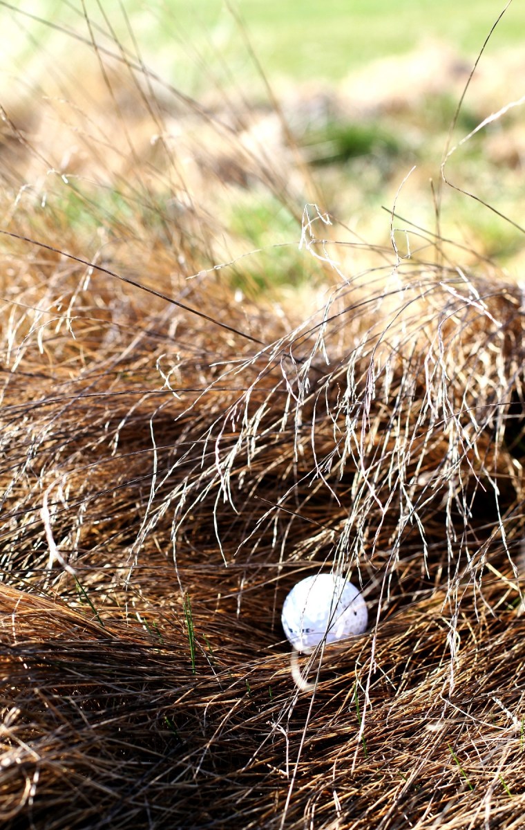 golfboll