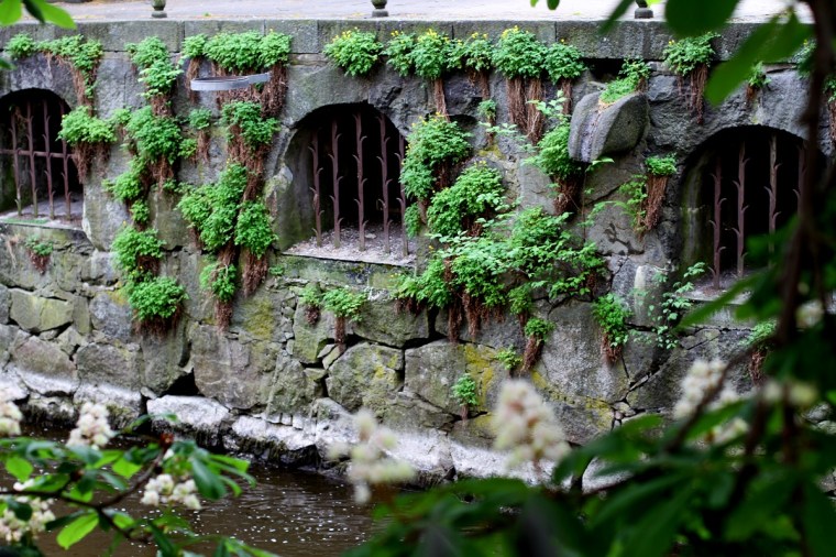 titthål