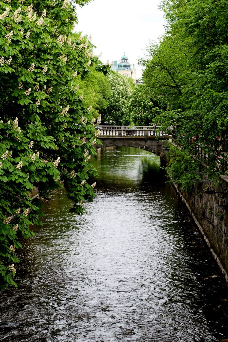 vårdag