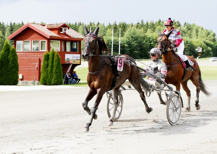 Klicka gärna på bilden, så blir den större