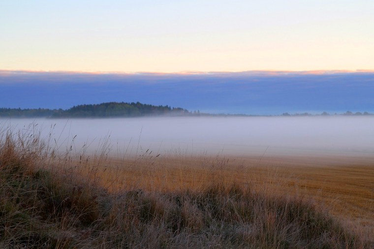 Morgondimma över ängarna bakom vårt hus... magiskt...