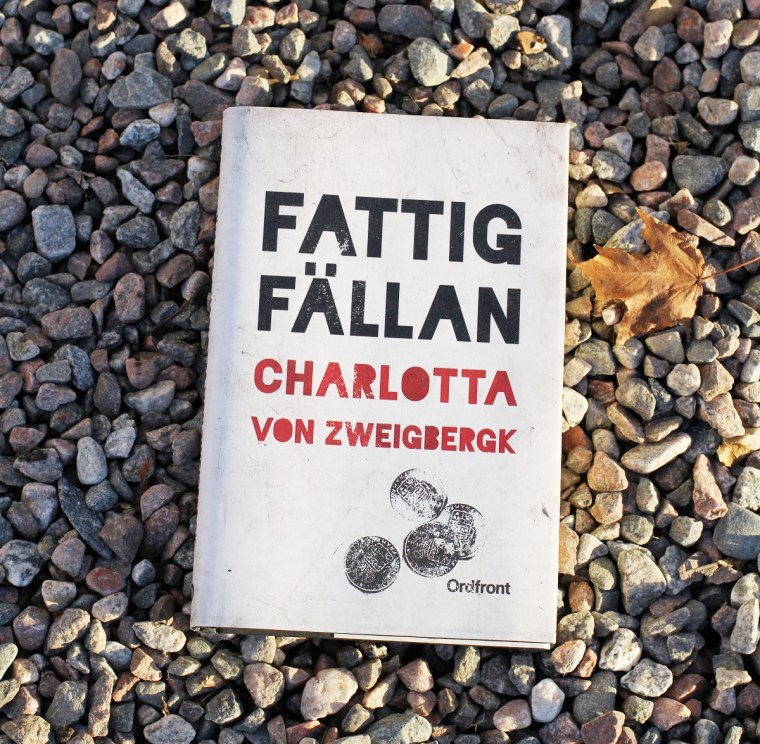 Recensionsexemplar från Ordfront förlag - stort tack!